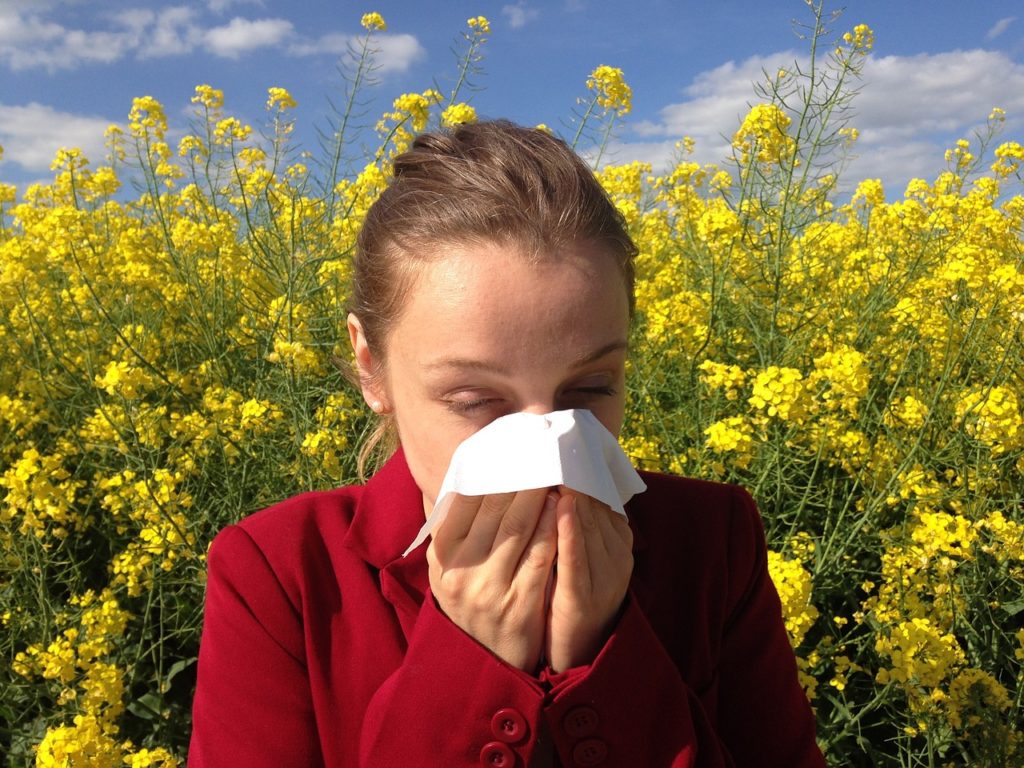 leczenie alergii wrocław