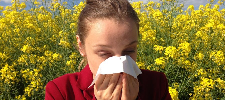 leczenie alergii wrocław